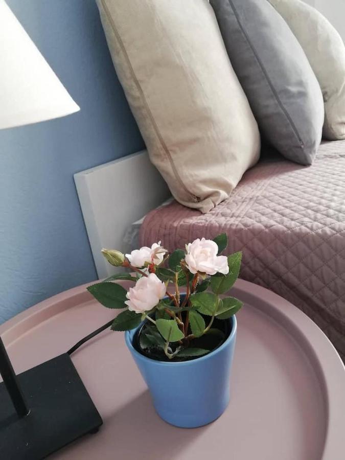 The Rose Apartment Golos Dış mekan fotoğraf